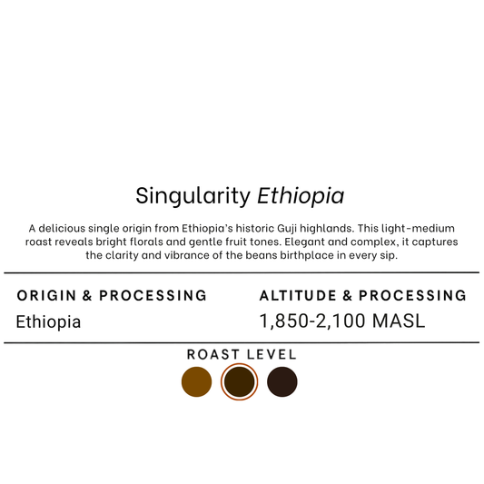Singularity Ethiopia